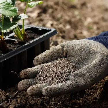 Uden mad og drikke...